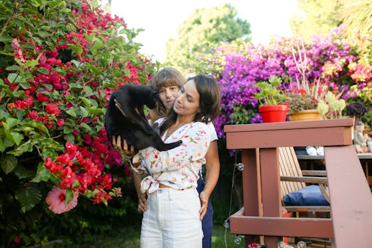 happy cat with owner