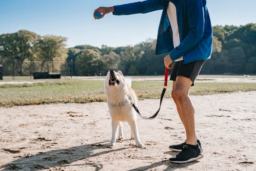 happy pet owner enjoying time with their pet