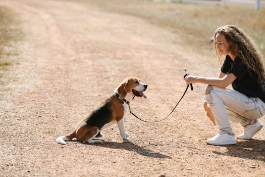 happy dog hiking with owner