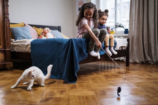 happy cat playing with yarn