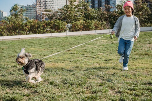 happy child playing with a dog