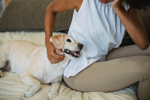 happy dog in a cozy apartment