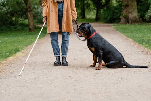 a case study of a service dog helping a veteran